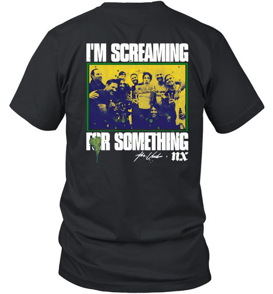 The Used Screaming For Something T Shirt