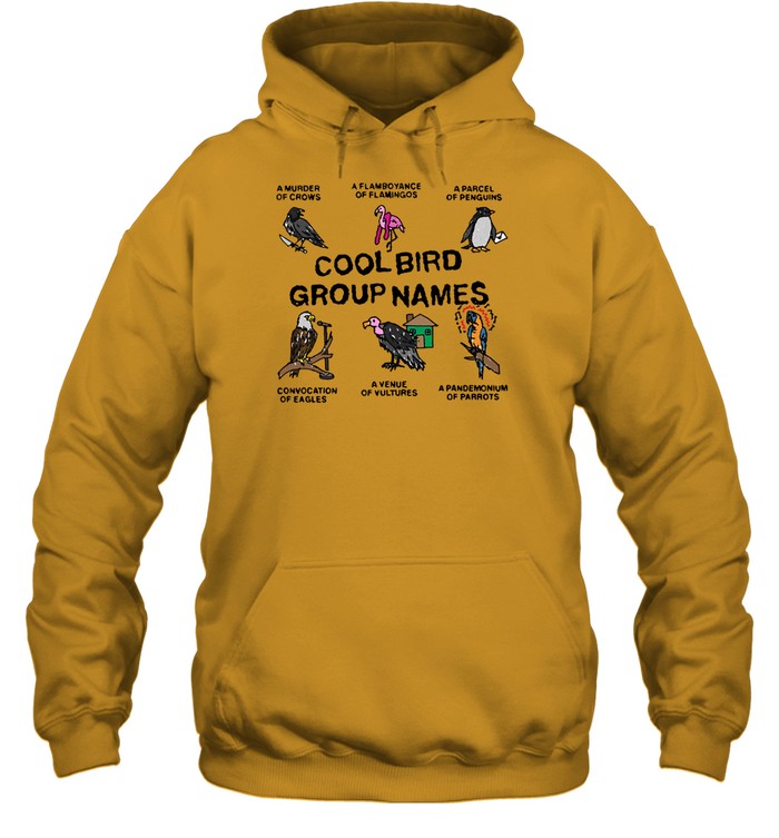 Top Cool Bird Group Names Hooded Sweatshirt