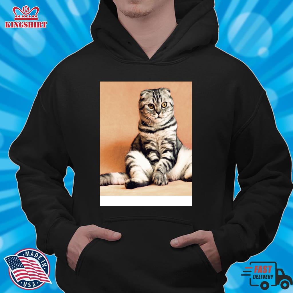 Cats Pullover Hoodie