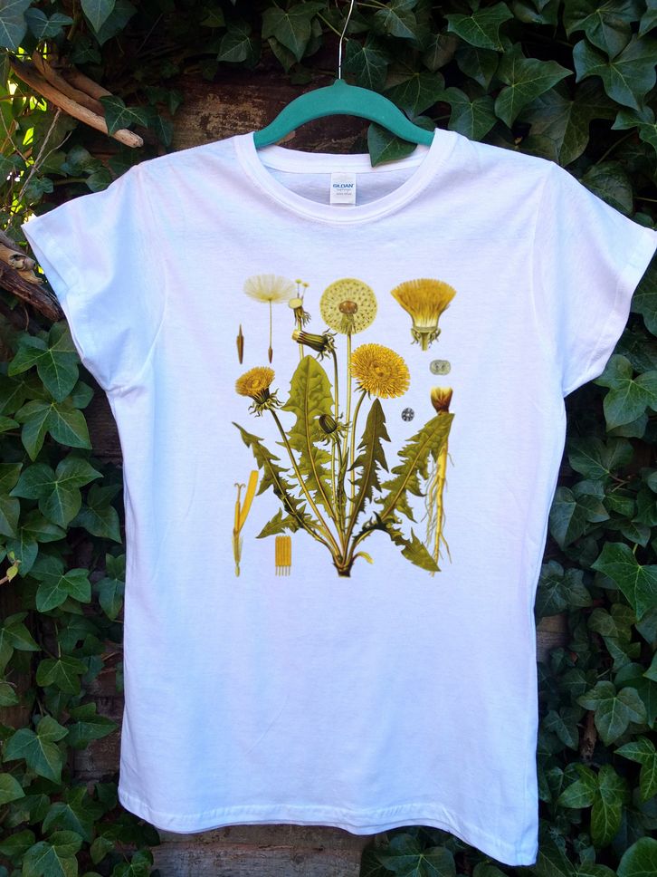 Dandelion Botanical Art vintage nature floral plant Ladies Fitted Soft style 100 Cotton Slim Fit Tshirt vintage tshirt