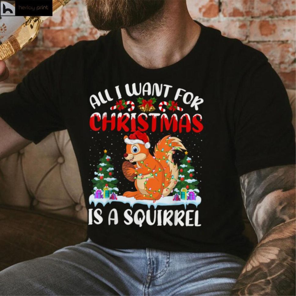 Funny Santa Hat All I Want For Christmas Is A Squirrel T Shirt Hoodie, Sweater Shirt