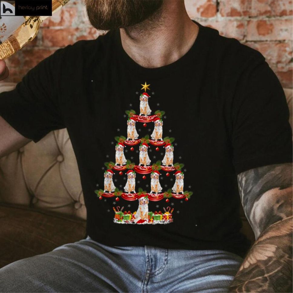 Xmas Lighting Santa Australian Shepherd Dog Christmas Tree T Shirt Hoodie, Sweater Shirt