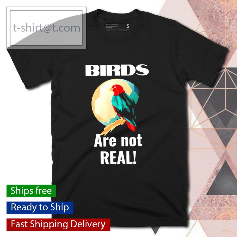 Birds Are Not Real Conspiracy Theory Shirt
