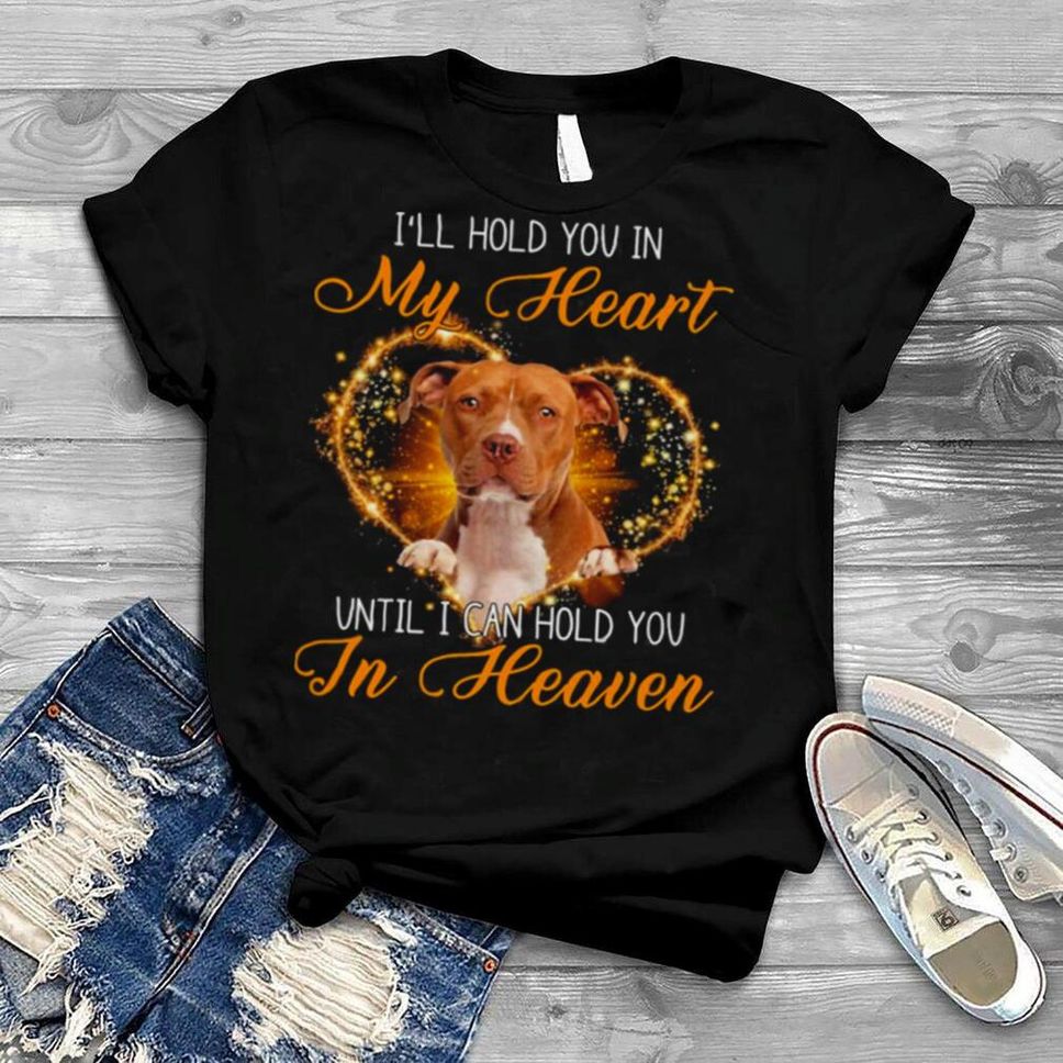 Brown Pitbull Dog I’ll Hold You In My Heaven Until I Can Hold You In Heaven Shirt