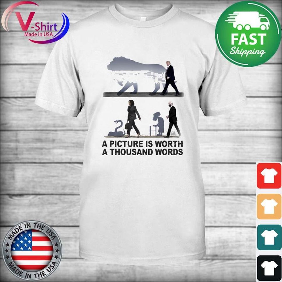 Donald Trump And Harris And Joe Biden A Picture Is Worth A Thousand Words Shirt