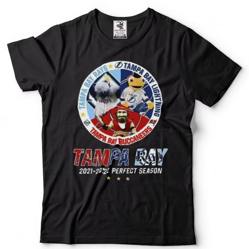 Rays And Lightning And Buccaneers 2022 Perfect Season Tampa Bay Rays T Shirt