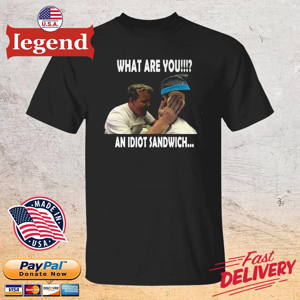What are you an idiot sandwich shirt