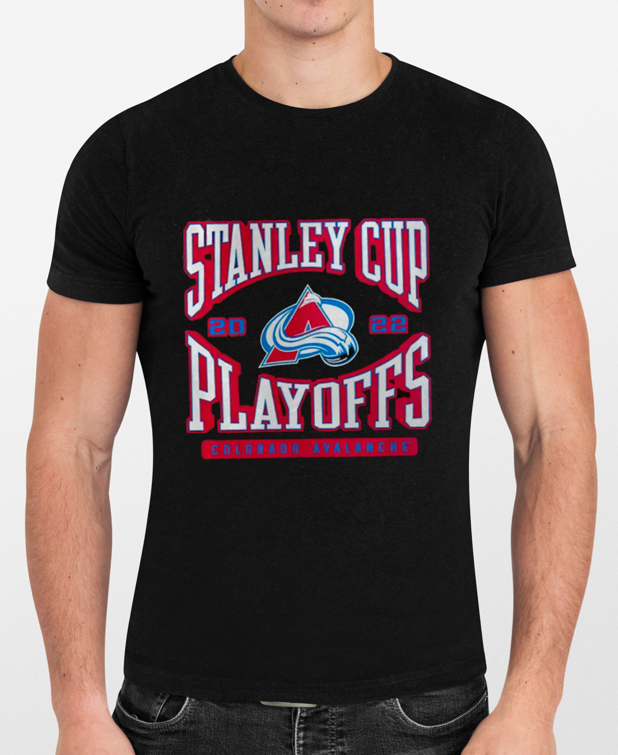 Colorado Avalanche 2022 Stanley Cup Vintage NHL Shirt