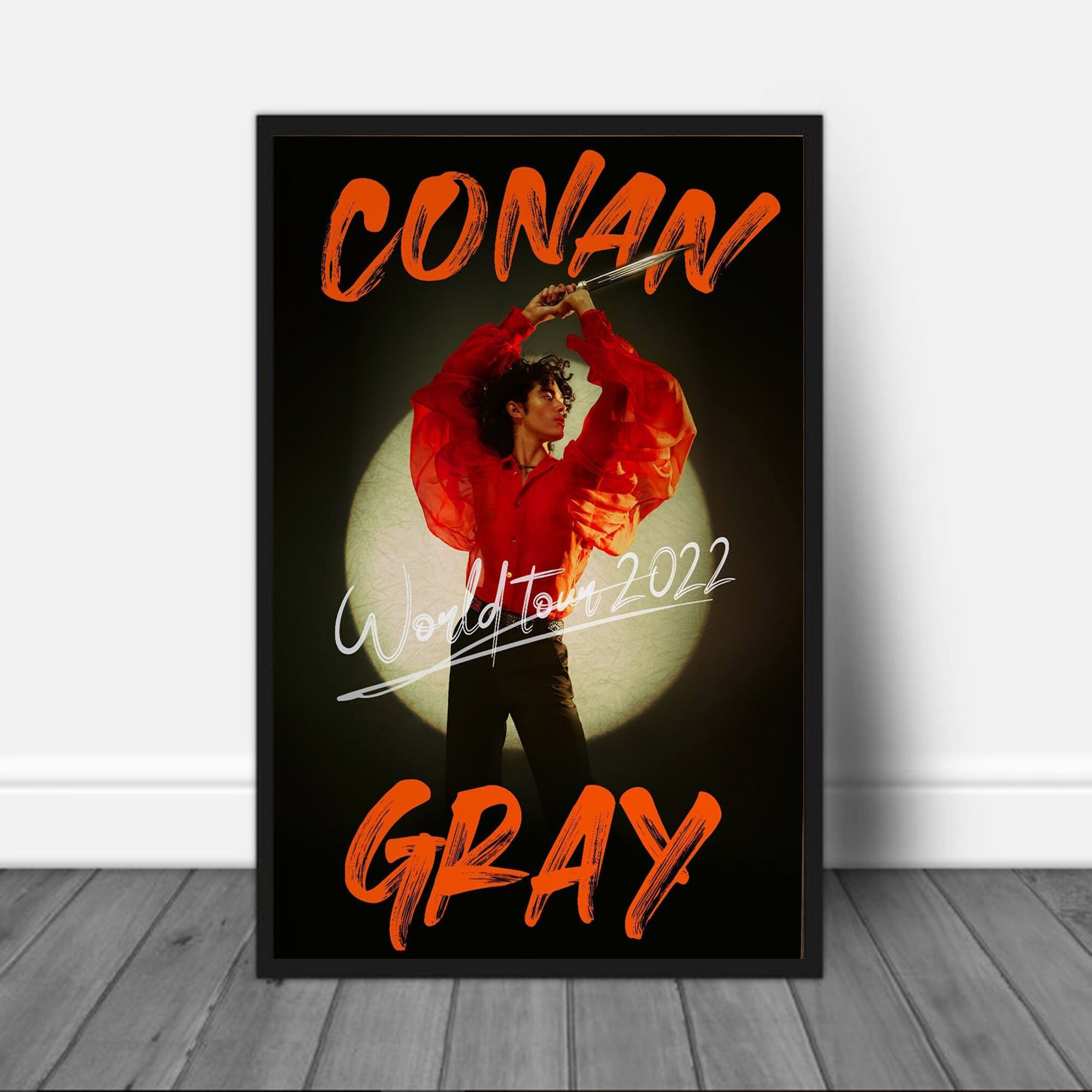 Conan Gray World Tour 2022 Poster