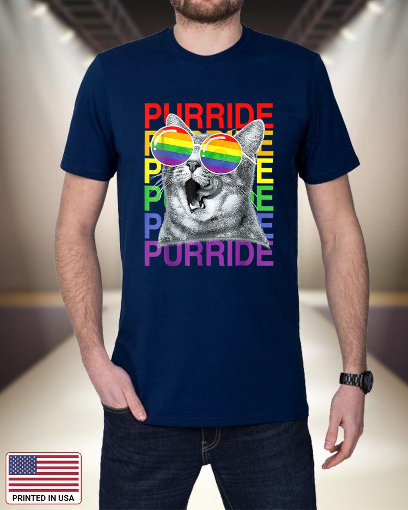 Cute Cat Gay Pride Month Rainbow Flag Sunglasses LGBTQ 2022_1 sFTCo