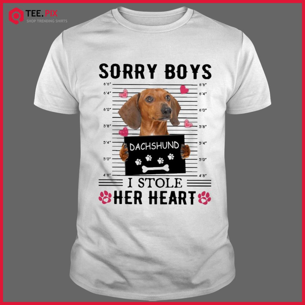 Dachshund Sorry Boys I Stole Her Heart Shirt