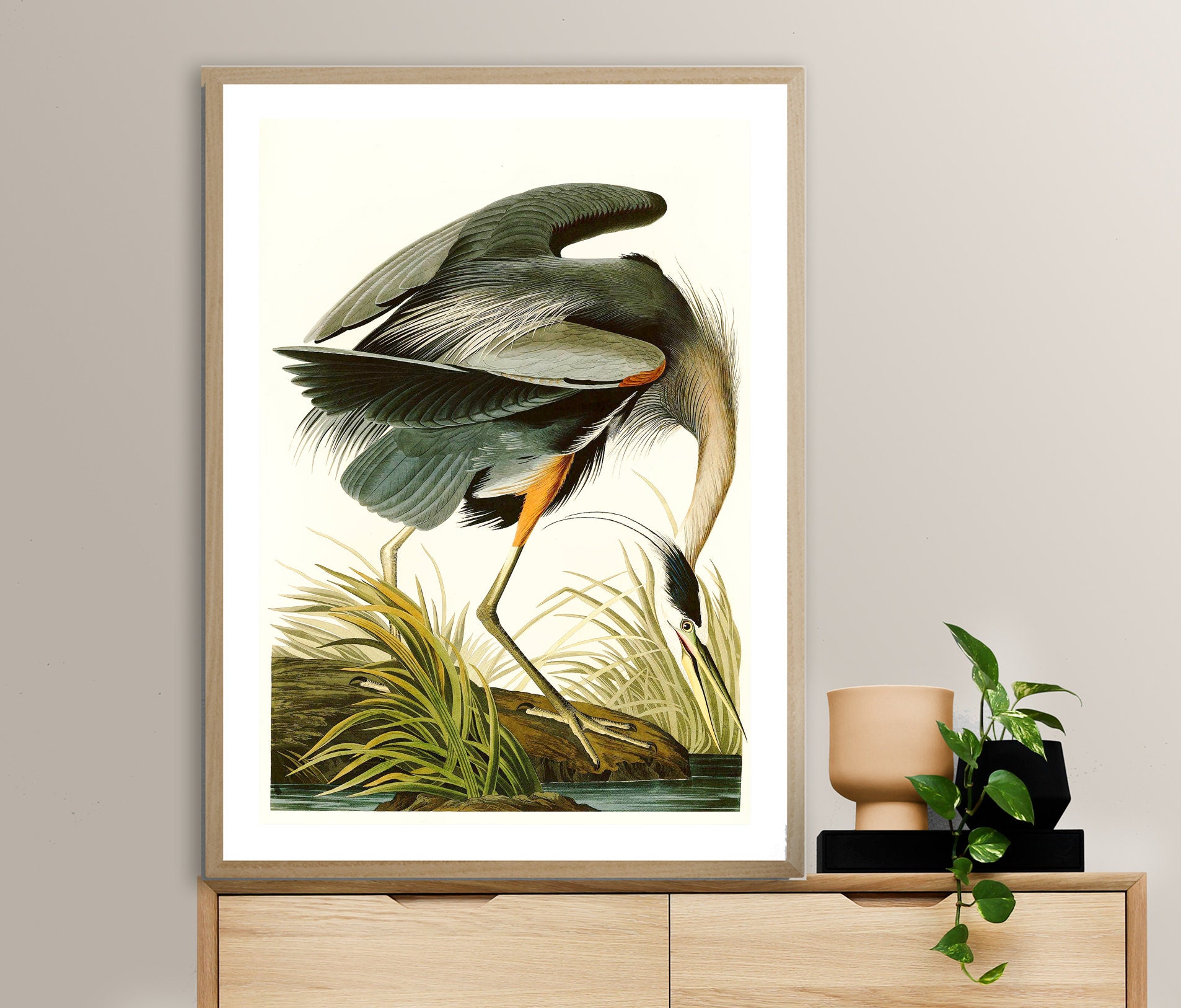 Great Blue Heron by John James Audubon, Fine Art Print, Vintage Poster, Bird Painting, Nature Wall Art, Animal Poster, Wildlife Artwork