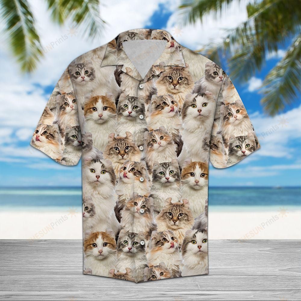 HAWAII SHIRT American Curl Awesome -ZX5968 