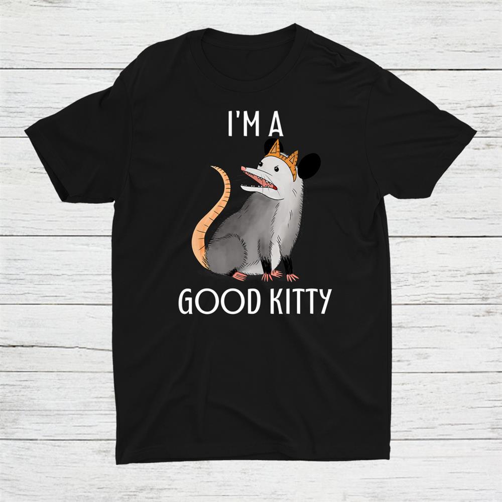 Im A Good Kitty Possum Racoon Rat Street Cat Shirt
