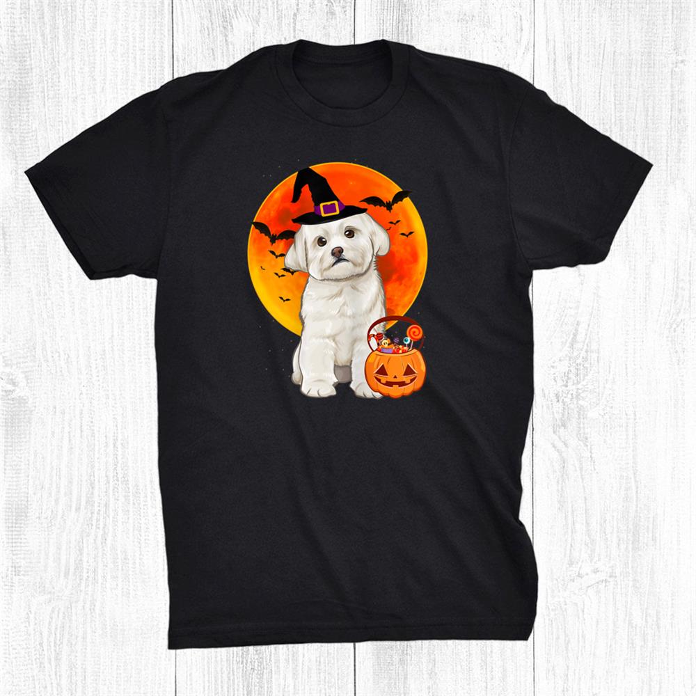 Maltese Behind The Lantern Pumpkin Halloween Shirt