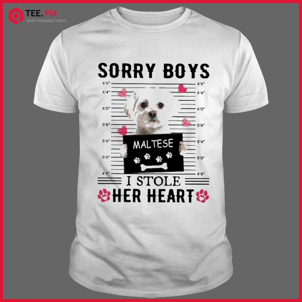 Maltese Sorry Boys I Stole Her Heart Shirt