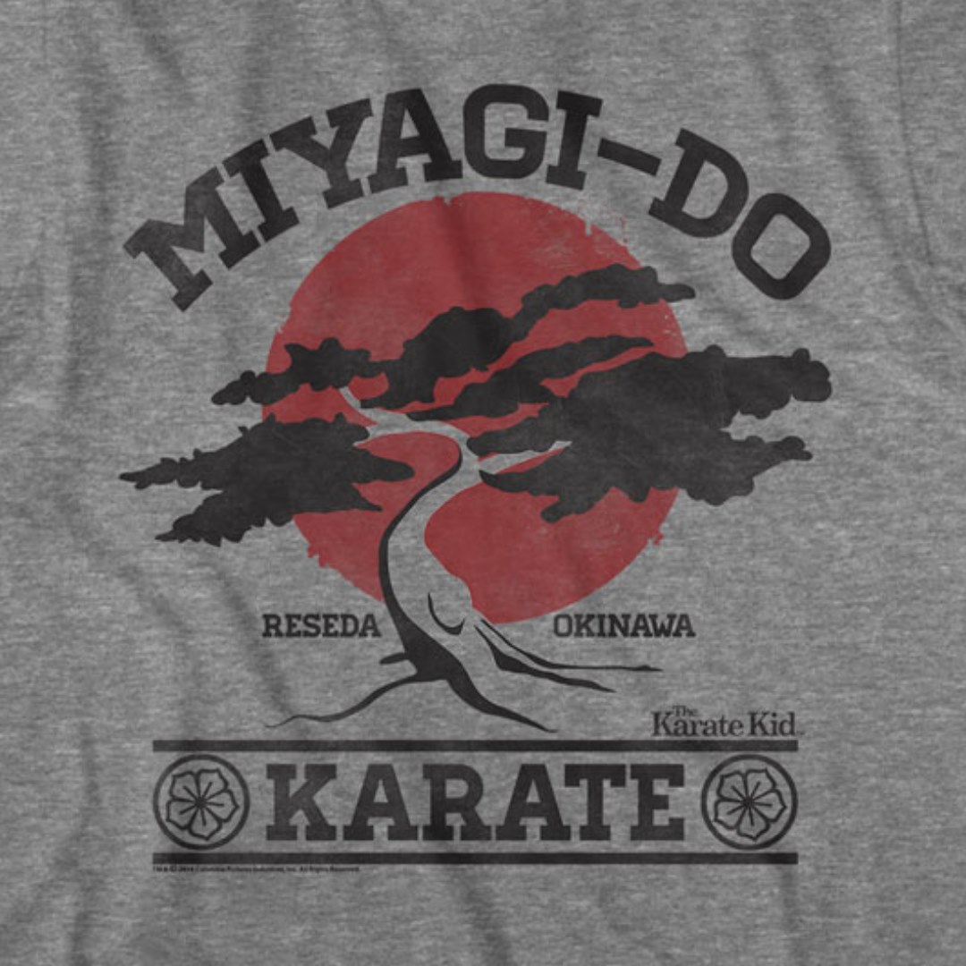 Miyagi-Do Reseda, Okinawa – The karate kid, Japan flag