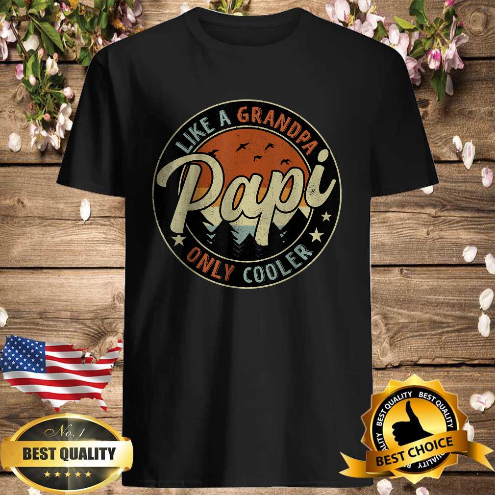 Papi Like A Grandpa Only Cooler Vintage Retro Father’s Day T-Shirt