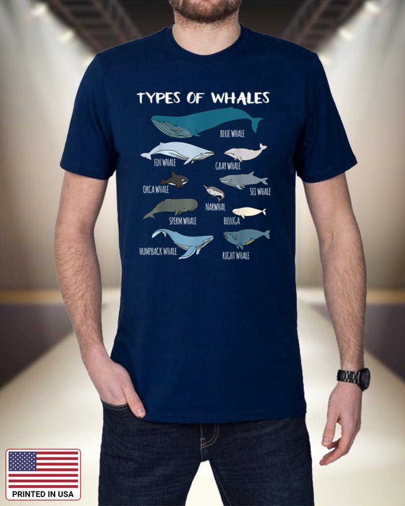 Types Of Whales Cute Ocean Mammals Guide T Shirt 3mHpy