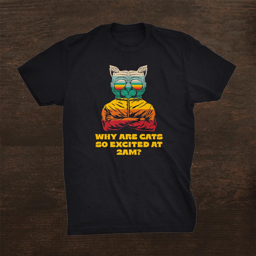 Why Are Cats Excited At 2am Cat Lover Funny Kitten Humor Shirt