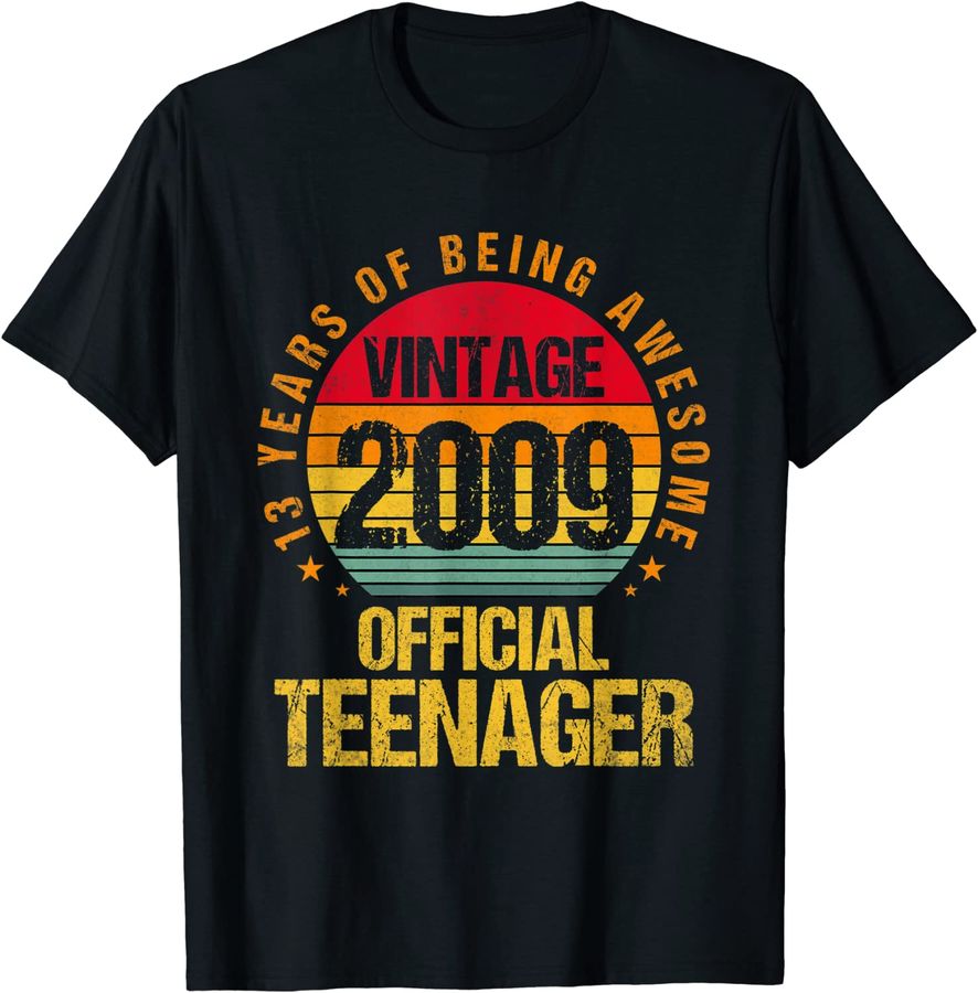 13th Birthday Vintage 2009 Official Teenager 13 Yr Old_1