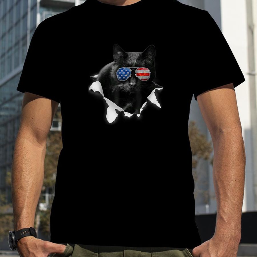 Black Cat Torn Cloth For Cat Lover, Cat Dad, Cat Mom T Shirt
