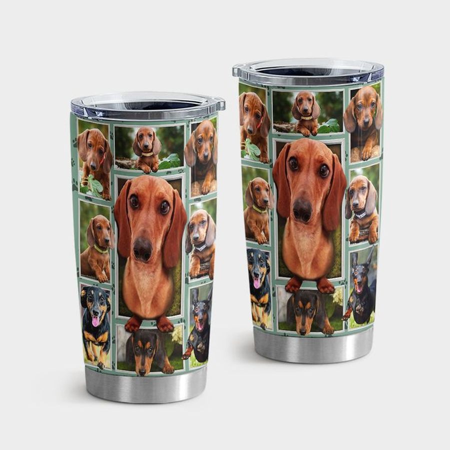 Brown Water Tumbler, A Lovely Brown Dachshund Tumbler Tumbler Cup 20oz , Tumbler Cup 30oz, Straight Tumbler 20oz