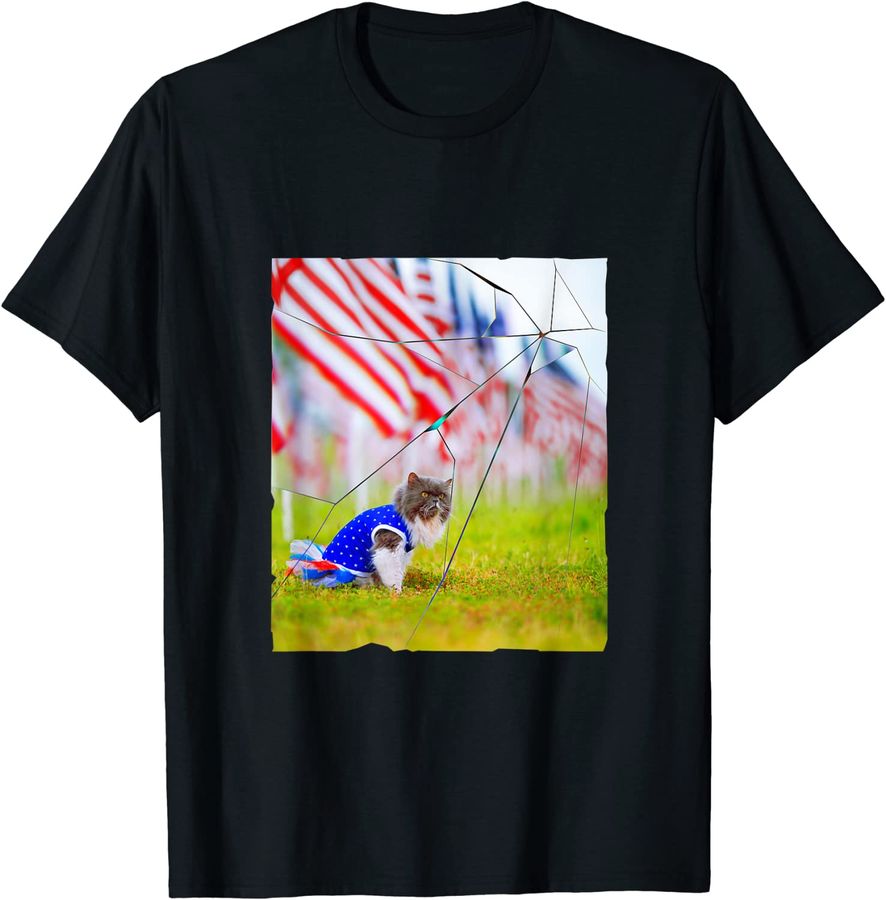 cat with united states flag celebration
