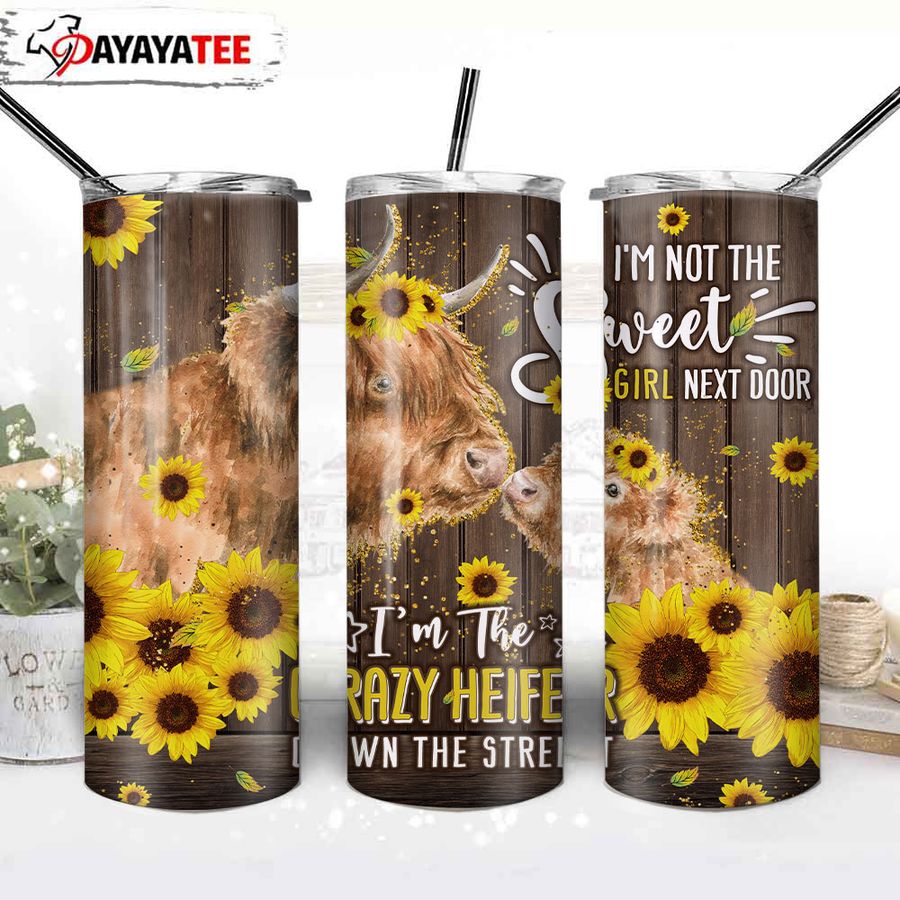 Crazy Cow 20oz Stainless Steel Skinny Tumbler