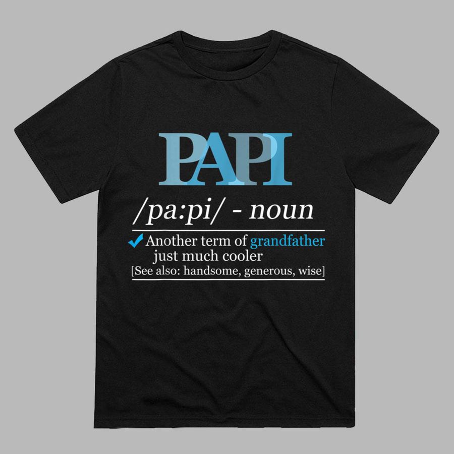 Definition Papi Funny Grandpa  Fathers Day Christmas T-Shirt