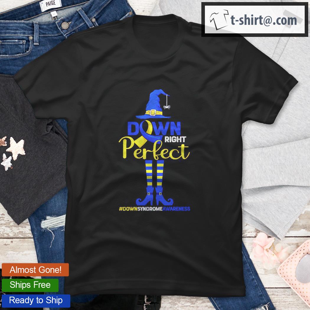 Down Syndrome Awareness Down Right Perfect Halloween Costume Shirt