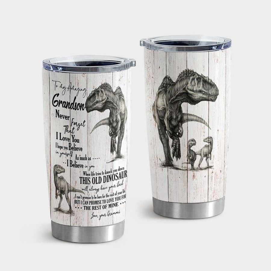 Grandson Insulated Cups, To My Grandson Dinosaur Always Have Your Back Tumbler Tumbler Cup 20oz , Tumbler Cup 30oz, Straight Tumbler 20oz