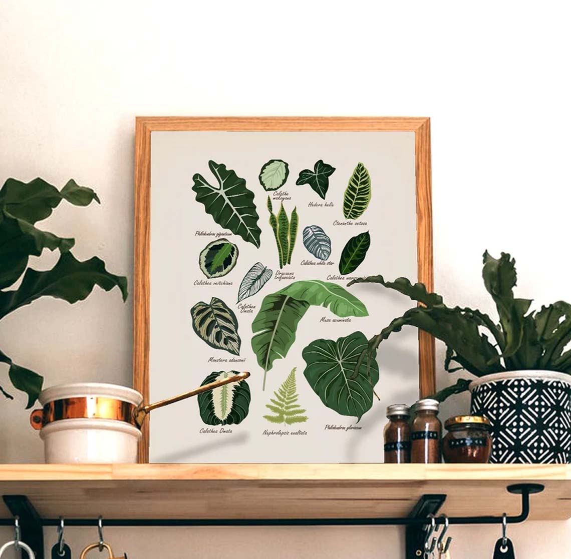 House Plants Botanical, Plant Poster