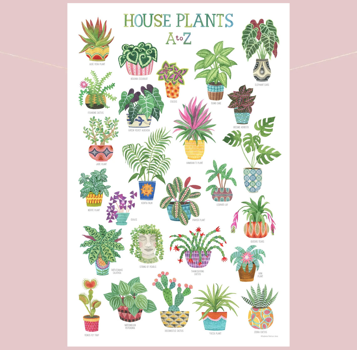 House Plants Botanical Wall Art Print Poster