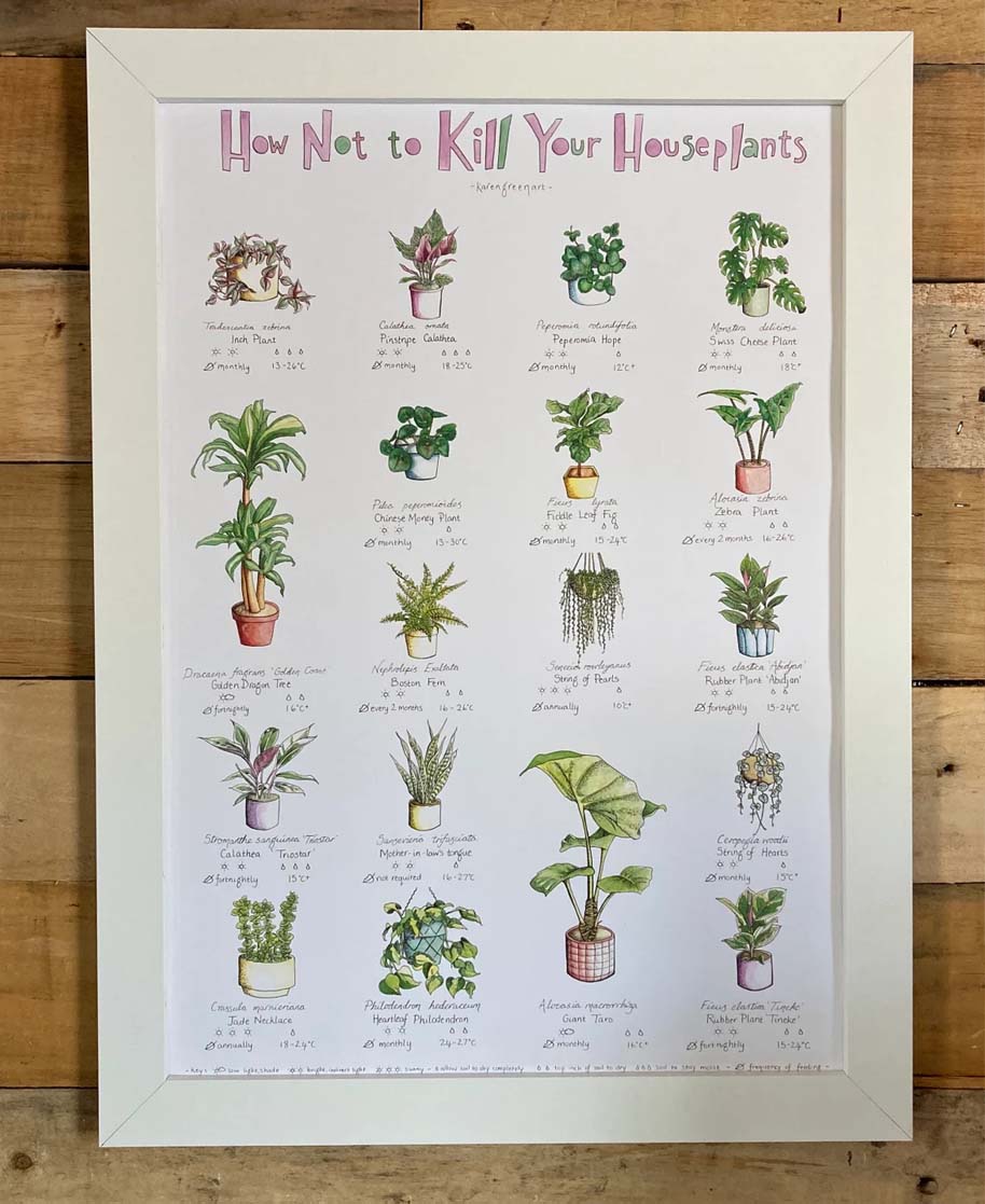 How Not to Kill Your Houseplants Poster