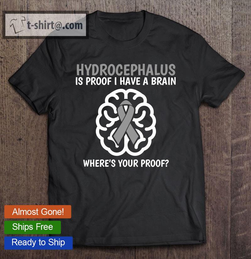 Hydrocephalus Awareness Brain Disease Related Funny Ribbon Pullover T-shirt