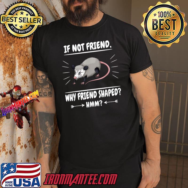 If Not Friend Why Friend Shaped  Opossums T-Shirt