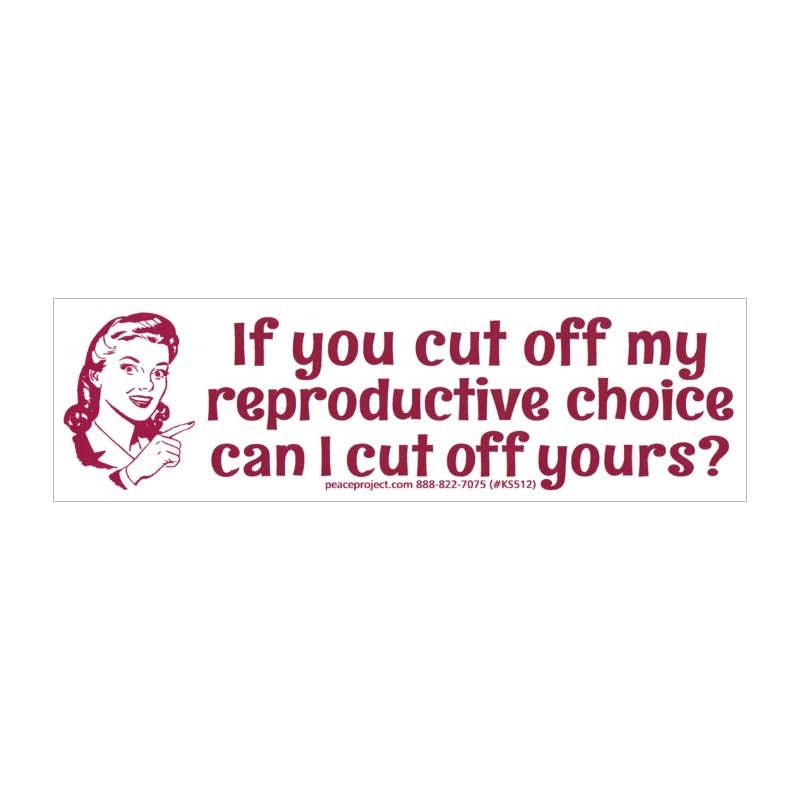 If You Cut Off My Reproductive Choice Pro-Choice Women Abortion Rights Small Car Bumper Sticker Laptop Decal or Fridge Magnet 62-by-18