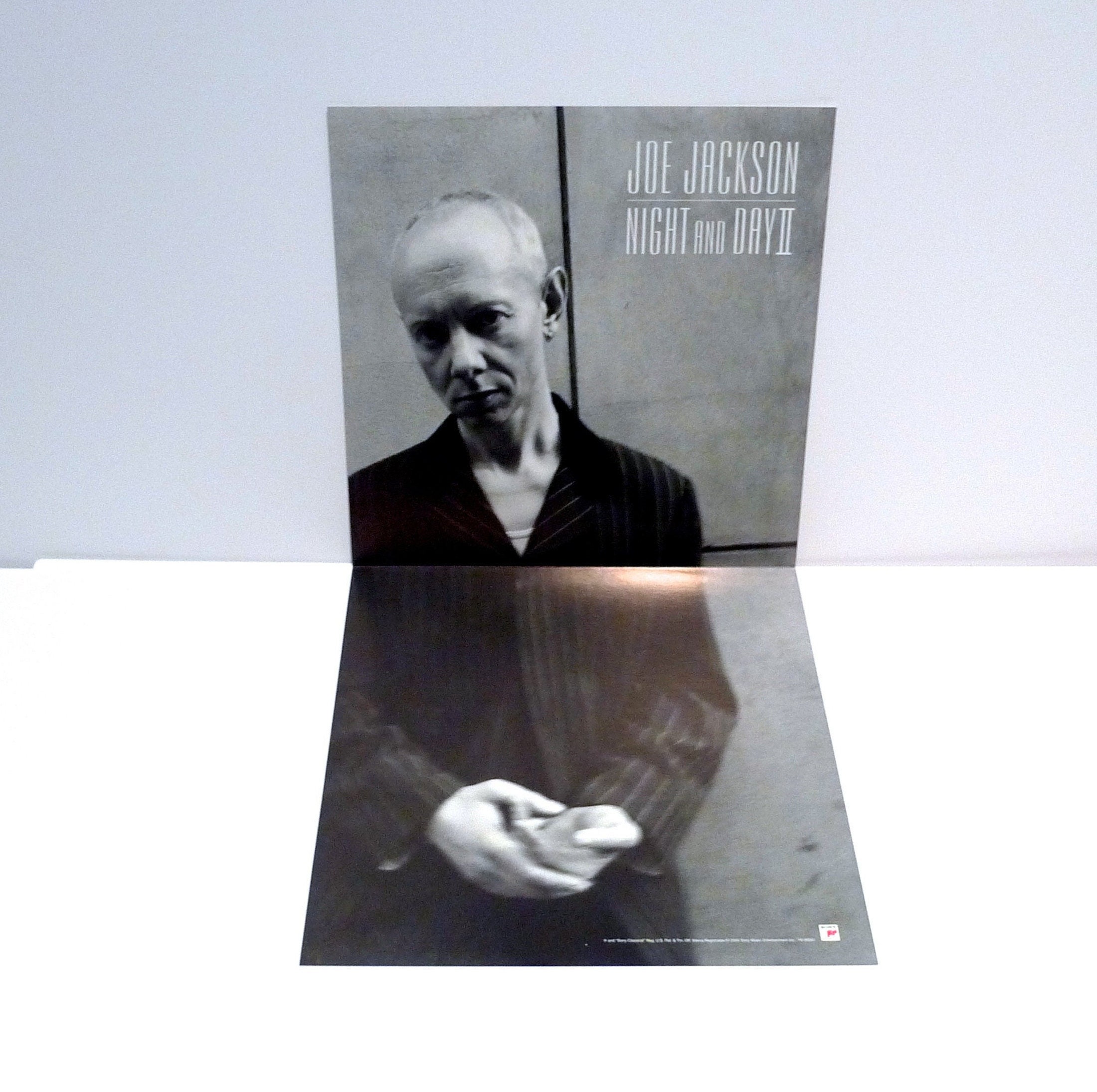 Joe Jackson Poster  Flat - Night and Day 2000 Vintage Two Part Record Store Display Mohawk Music Records