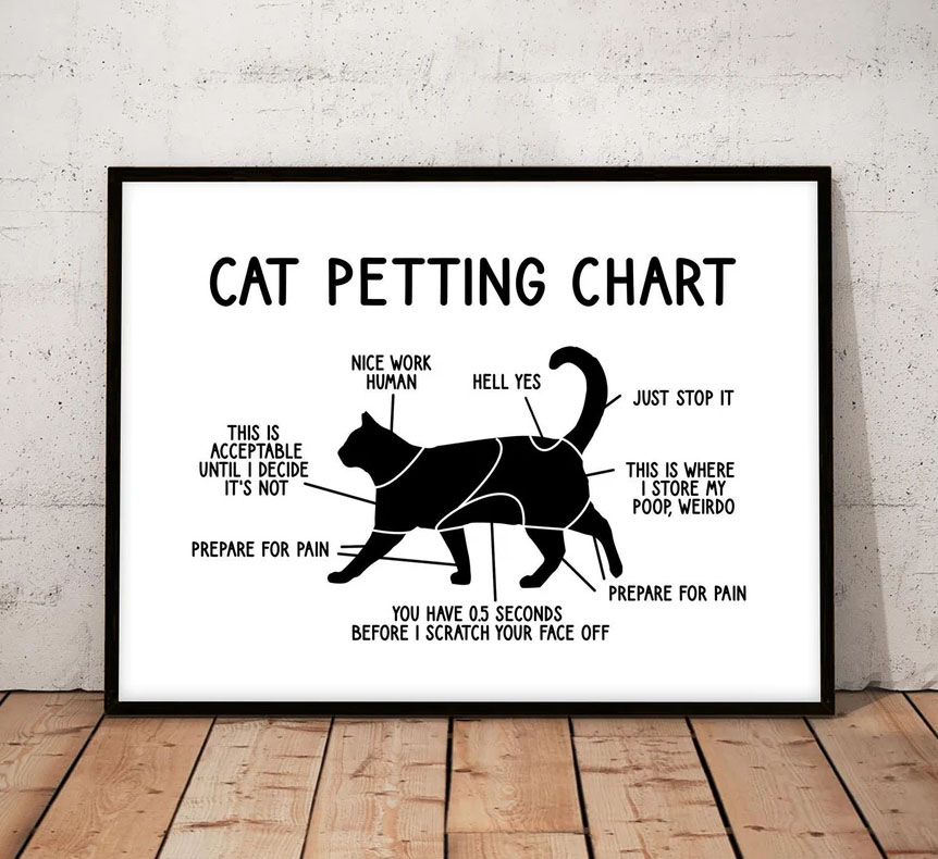 Petting Chart Cat Print Funny Cat Poster
