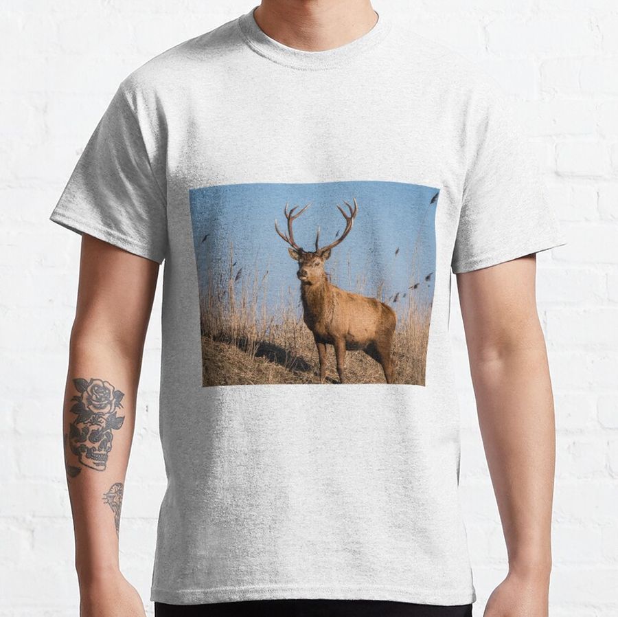 Red deer stag stares at the camera Classic T-Shirt
