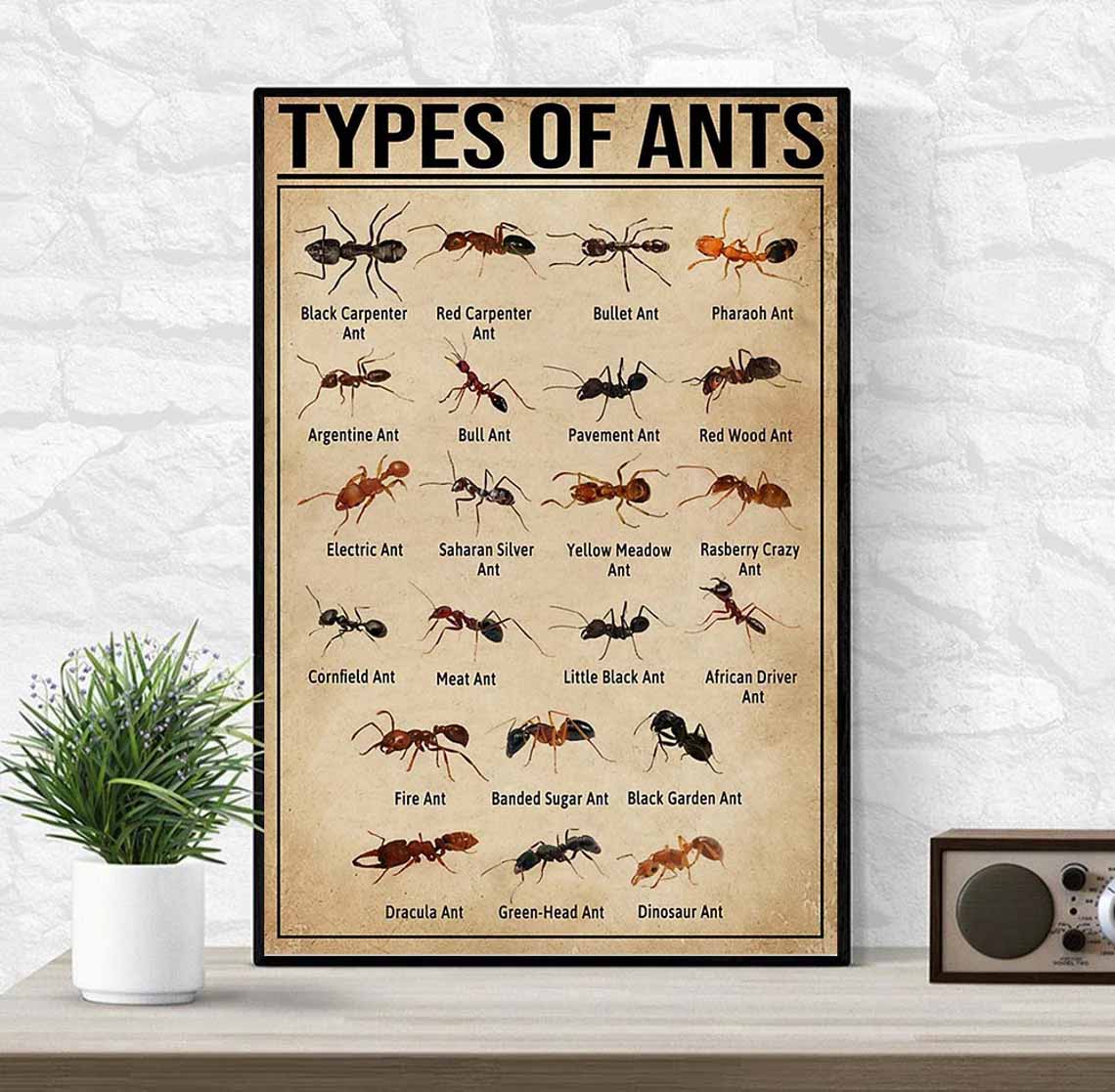 Types Of Ants Vertical Poster