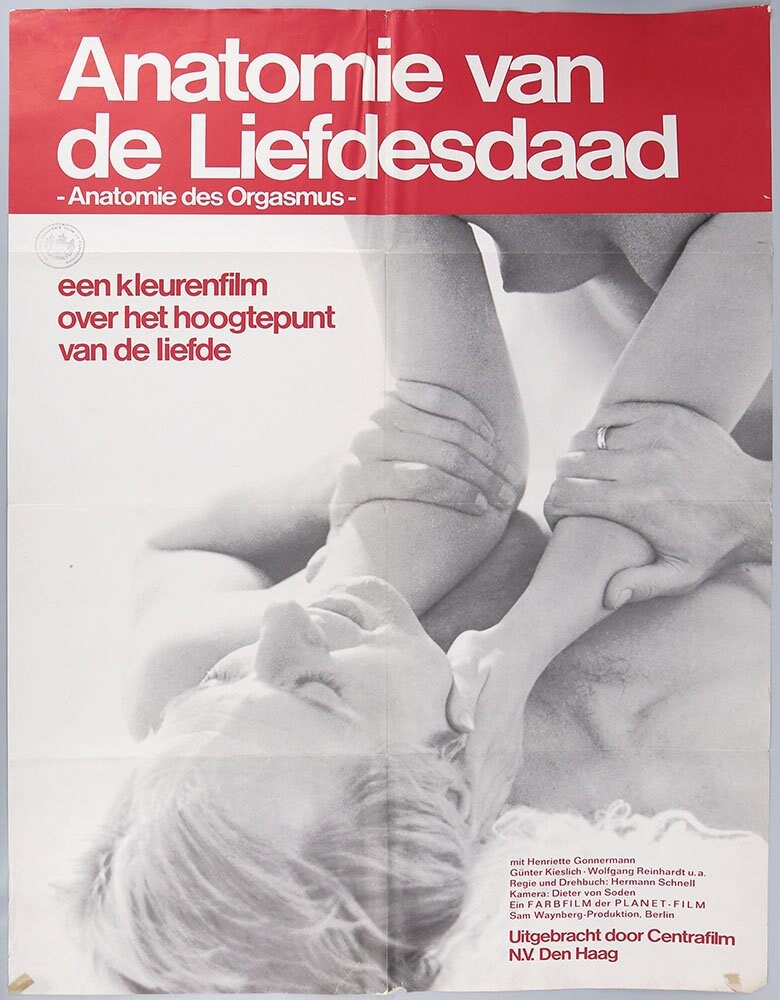 Vintage 1969 Risqué Dutch Language West German Sexploitation Film Movie Poster