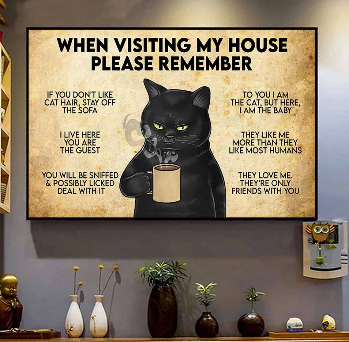 When Visiting My House Please Remember Funny Cat Poster