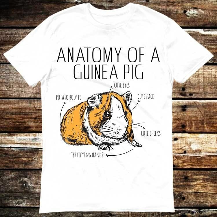 Anatomy Of Guinea Pig Pet Lover Funny Graphic Gaming T-Shirt