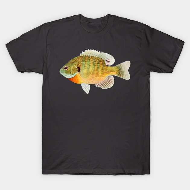 Bass Fish Illustration T-shirt, Hoodie, SweatShirt, Long Sleeve