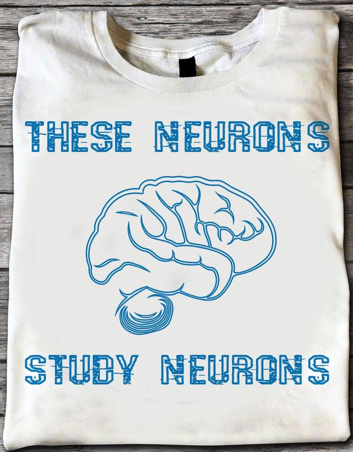 Brain Neurons – These neurons study neurons