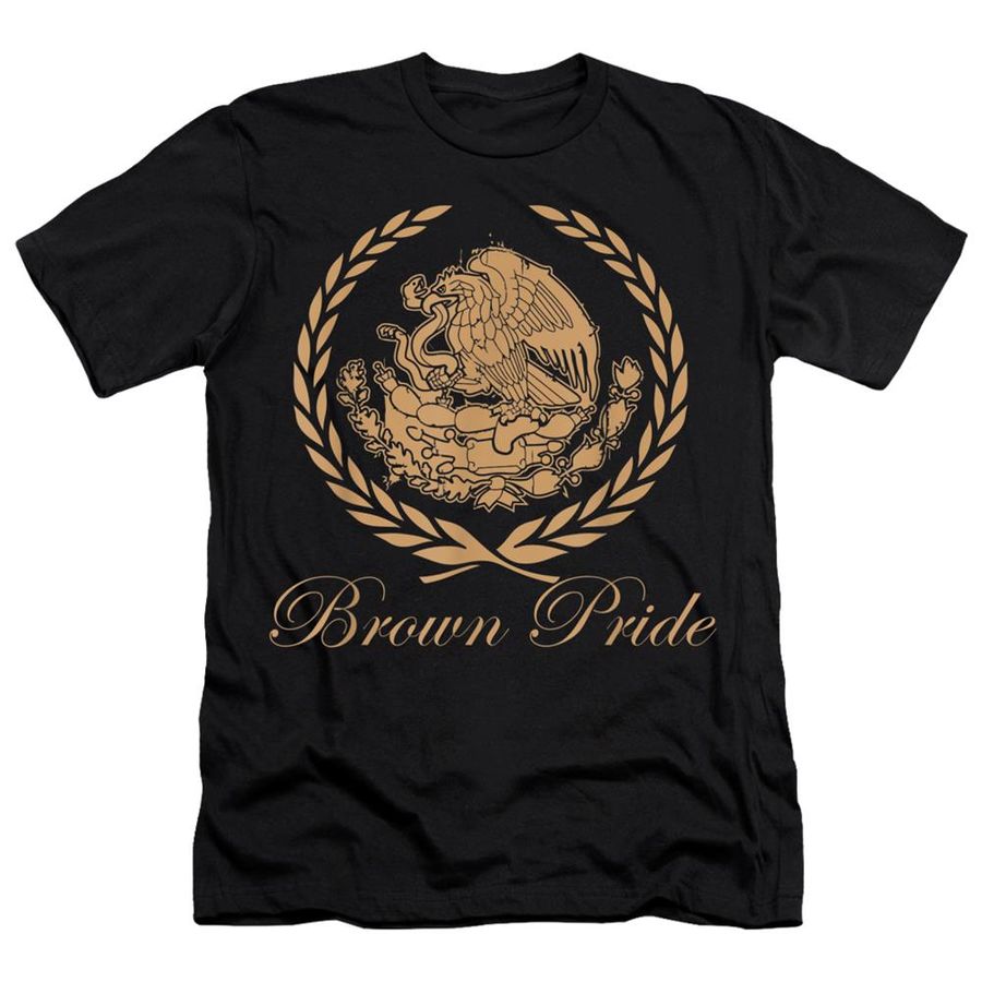 Brown Pride Mexican Heritage Flag Shirt