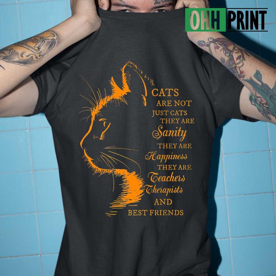 Cats Are Not Just Cats They Are Best Friends Tshirts Black