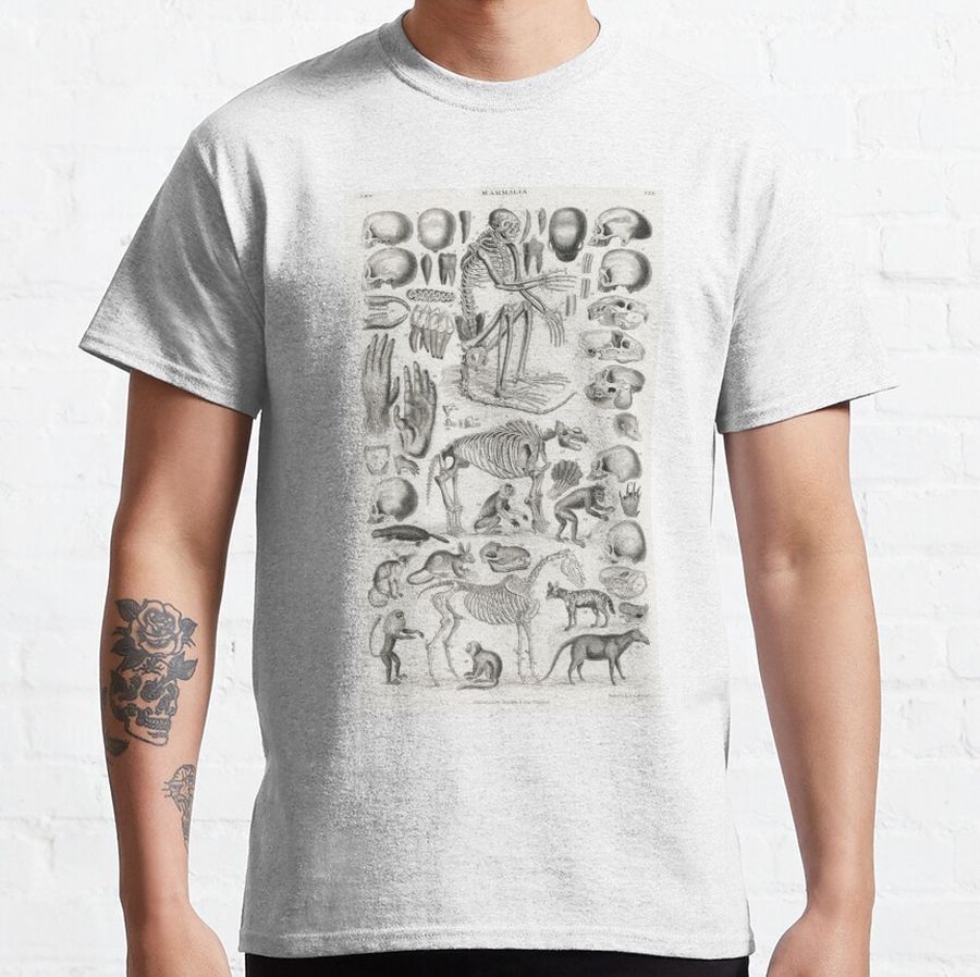 Copy of Various Animals Bone Structure Vintage Anatomy Educational Chart Classic T-Shirt